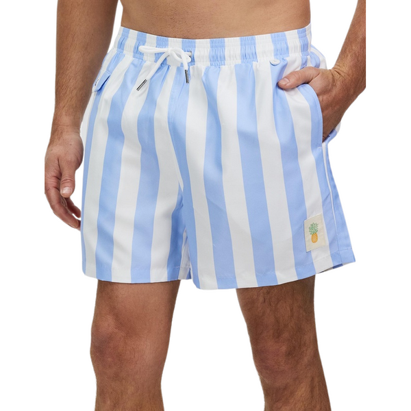 Light Blue Stripe Swim Shorts