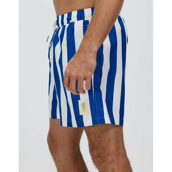 Navy Stripe Swim Shorts